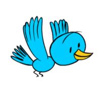 Sparkling_bird