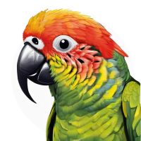 Parrot